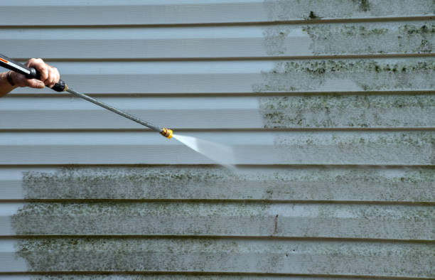 Best Roof Pressure Washing  in Rosanky, TX